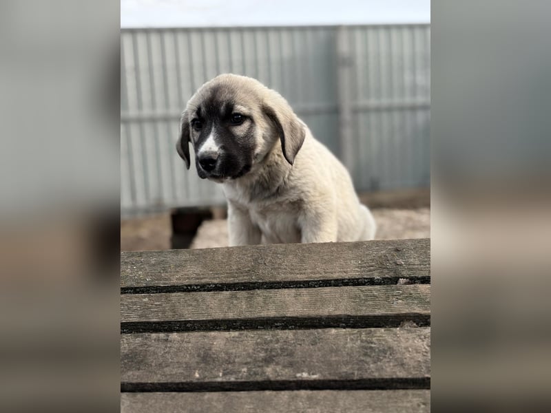 Nils ist pure Freude