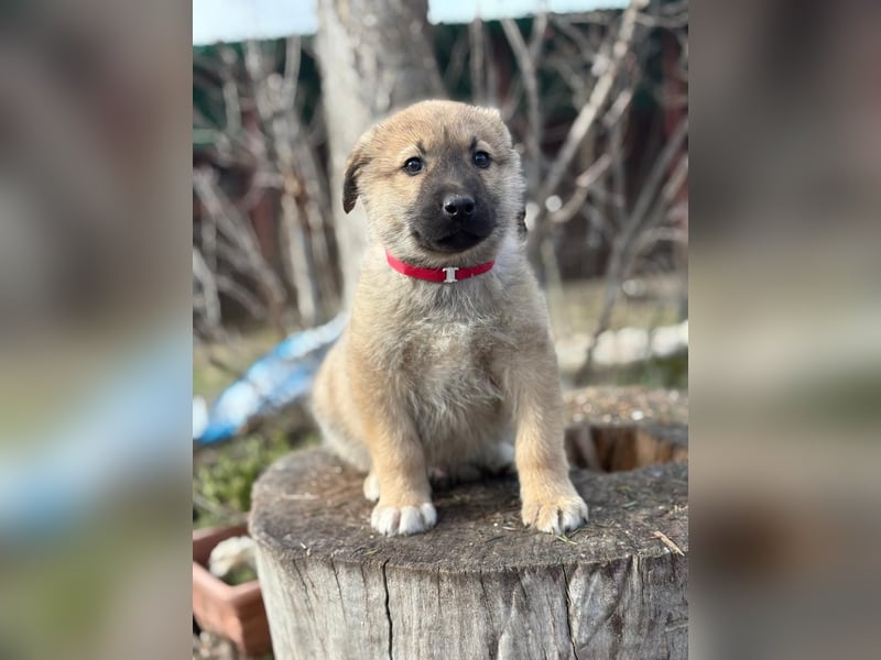 Nash hofft auf sein Glück