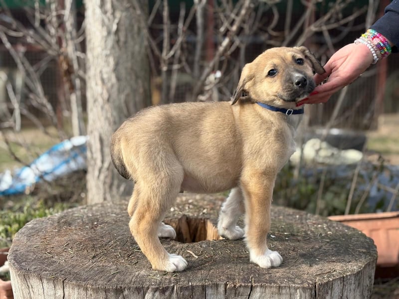 Nevio hat viel Liebe zu geben