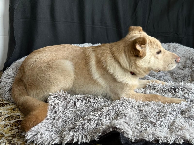 Pola möchte endlich geliebt werden