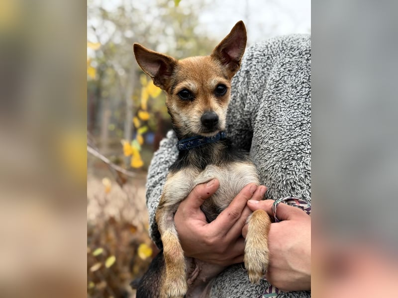 Harmat - sie will dieses Jahre nicht frieren!