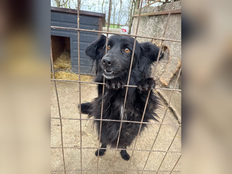 Pamacs wartet auf einen Neuanfang