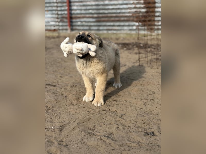 Nash hofft auf sein Glück