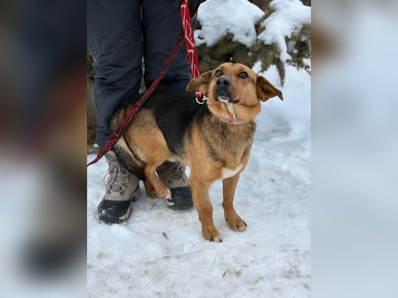 Hendri wartet auf ihr Happy End