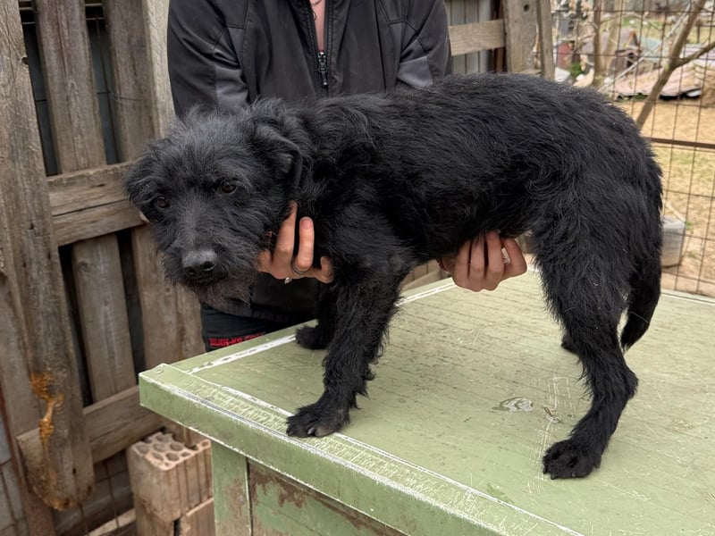 Jenga möchte die Welt mit dir entdecken