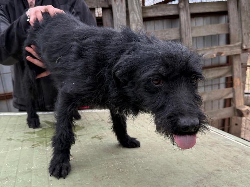 Jenga möchte die Welt mit dir entdecken