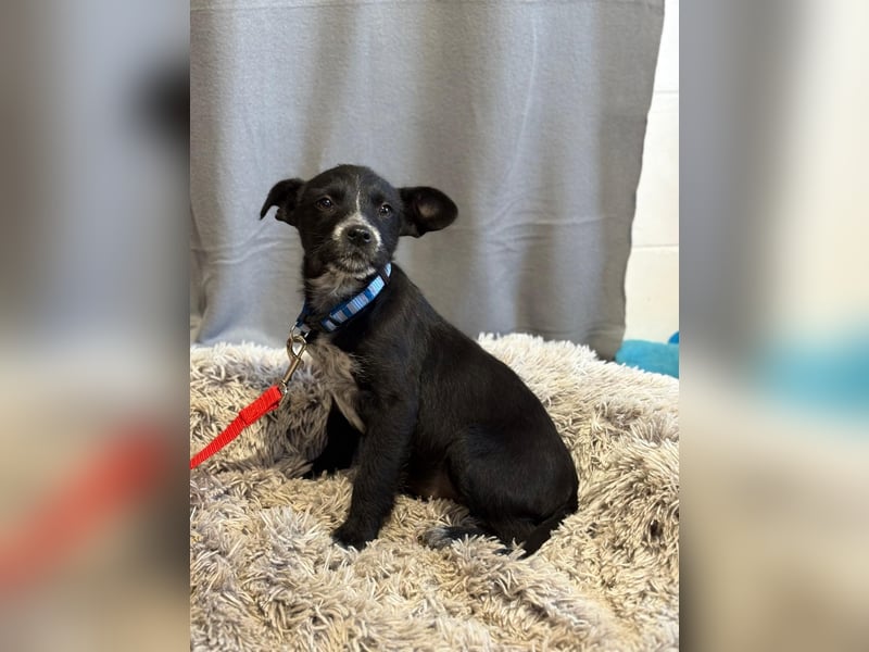 Gibst du Gerta eine Chance?