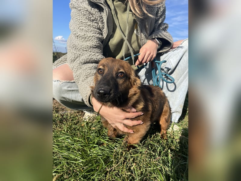 Luca - will nicht länger im kalten warten!