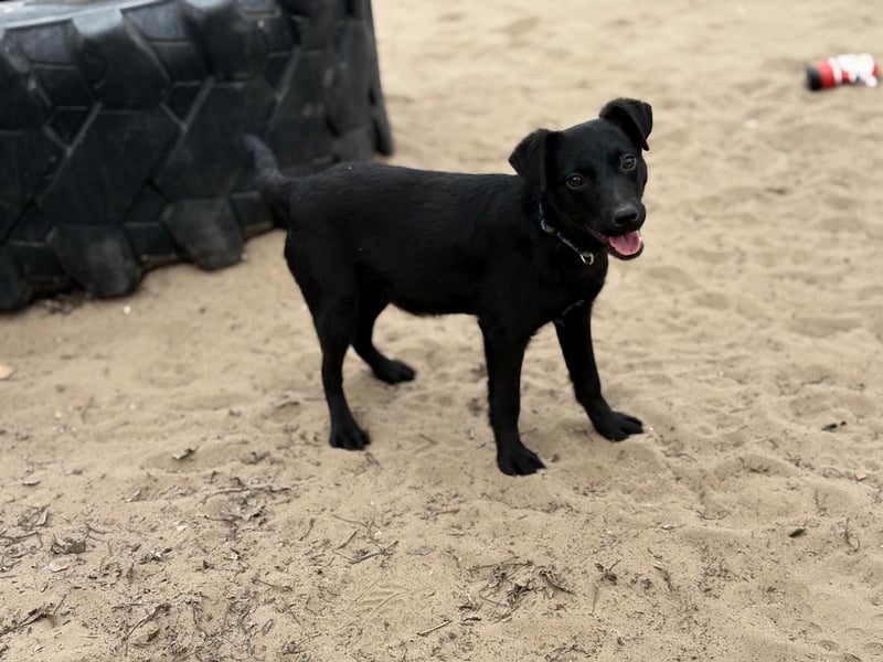 Amy bereit für ihr neues Leben