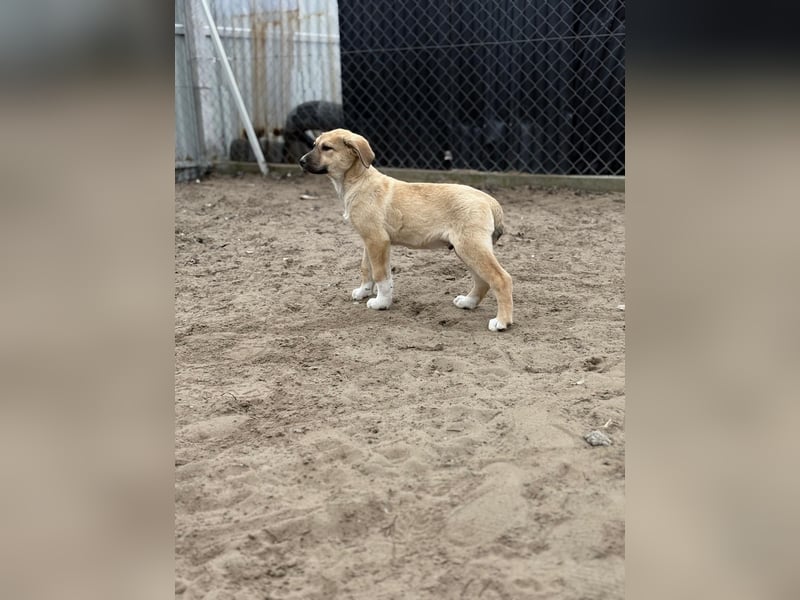 Nevio hat viel Liebe zu geben