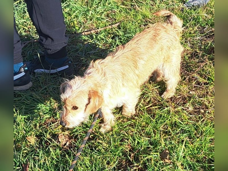 Linda 32cm, möchte Rumänien gerne verlassen