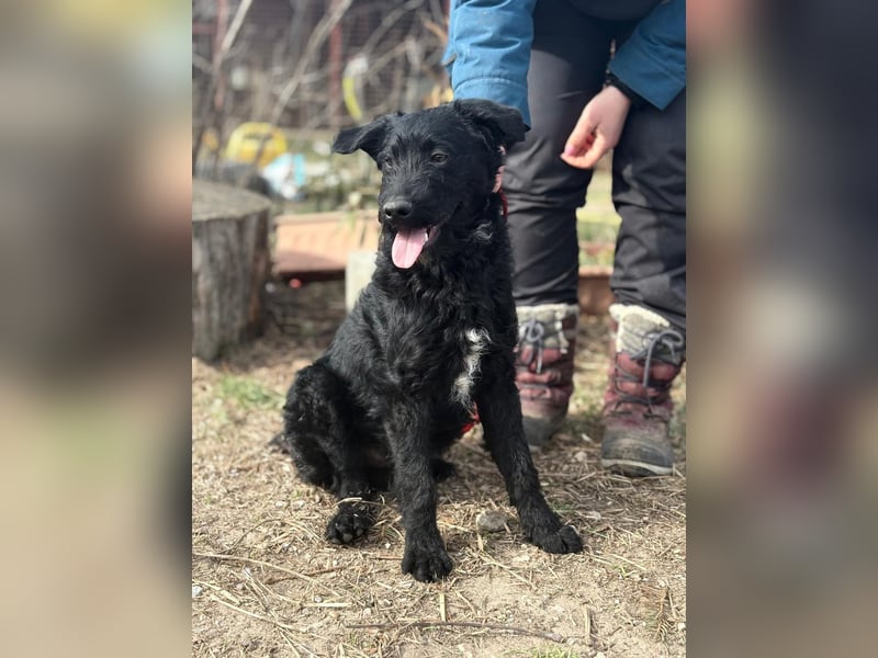 Kende wartet auf einen Neuanfang