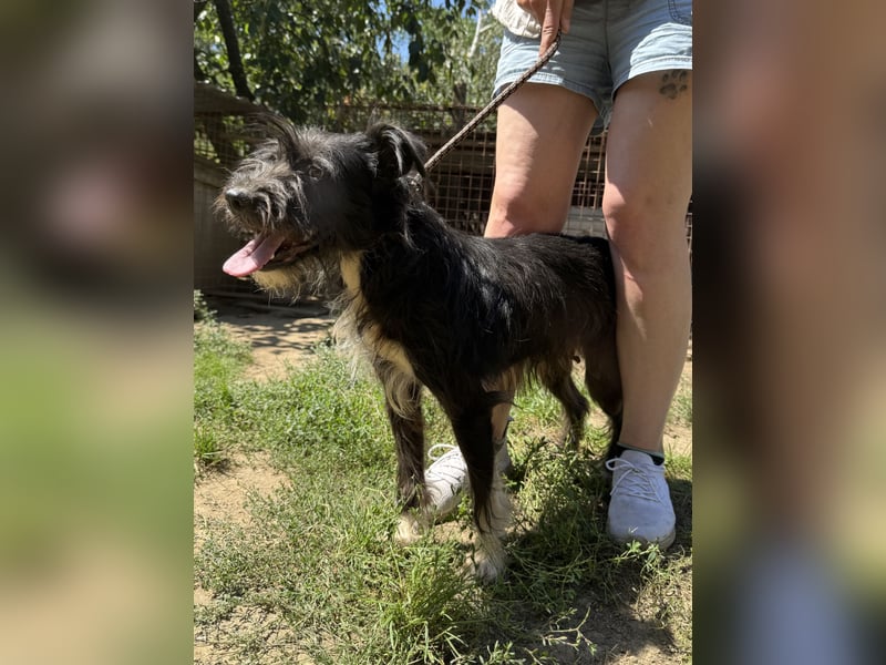 Lidi wartet sehnsüchtig auf ihre Familie