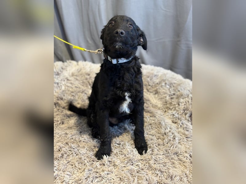 Kende wartet auf einen Neuanfang