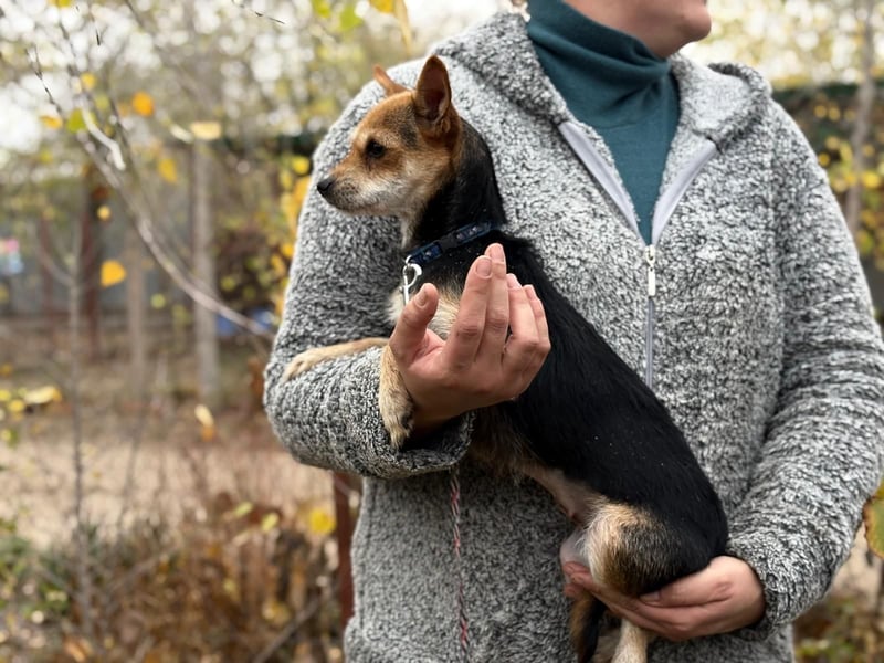 Harmat - sie will dieses Jahre nicht frieren!