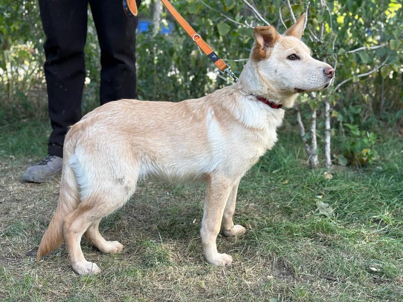 Pola möchte endlich geliebt werden
