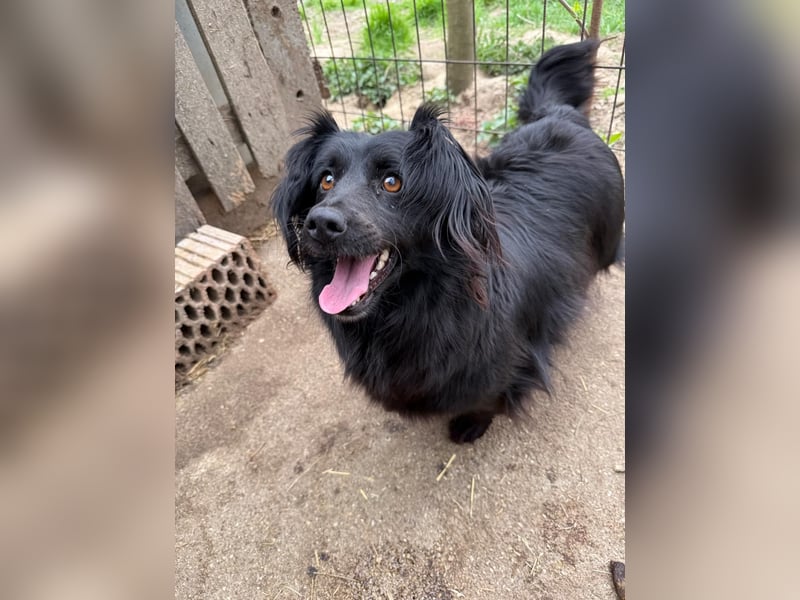 Pamacs wartet auf einen Neuanfang