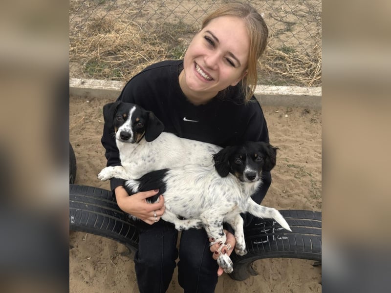 Envi möchte endlich nachhause Envi möchte endlich nachhause