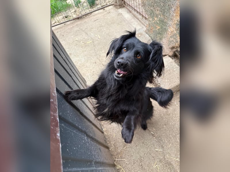 Pamacs wartet auf einen Neuanfang