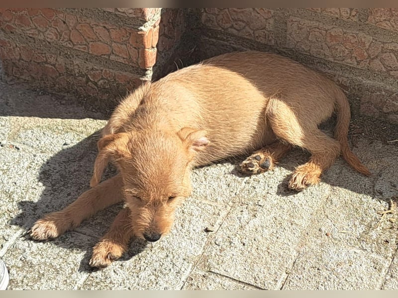 Kendy sucht ihre Herzensmenschen