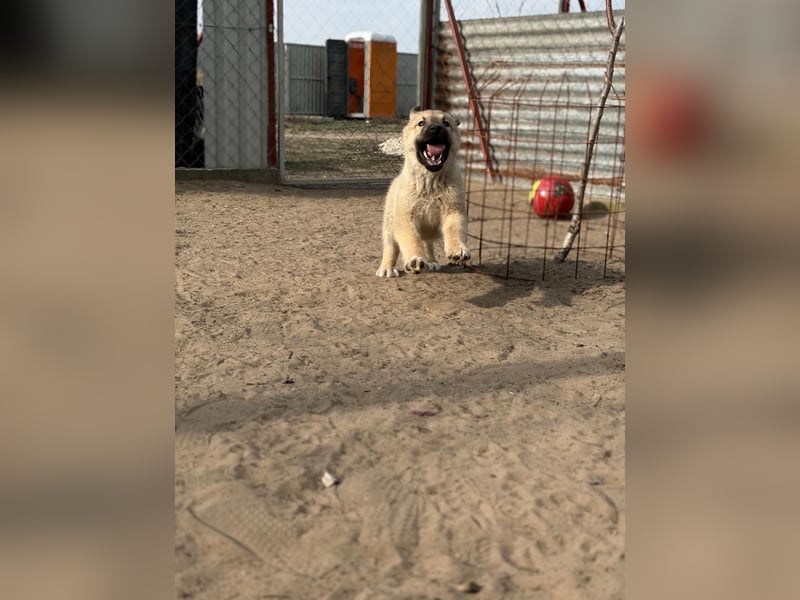 Nash hofft auf sein Glück