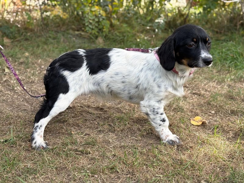 Envi möchte endlich nachhause Envi möchte endlich nachhause