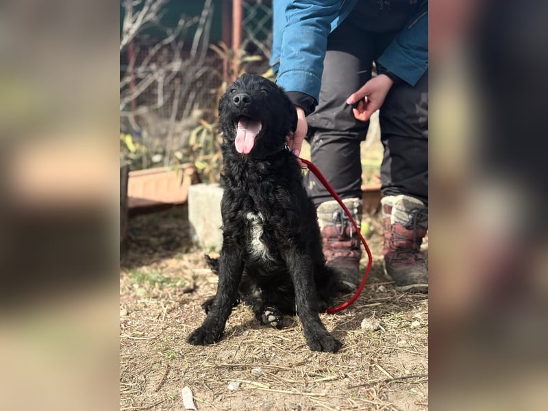 Kende wartet auf einen Neuanfang