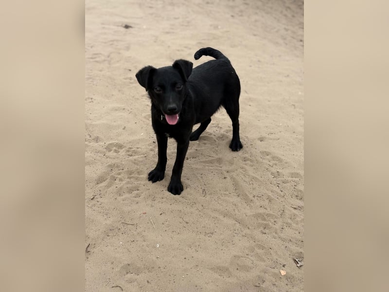 Amy bereit für ihr neues Leben