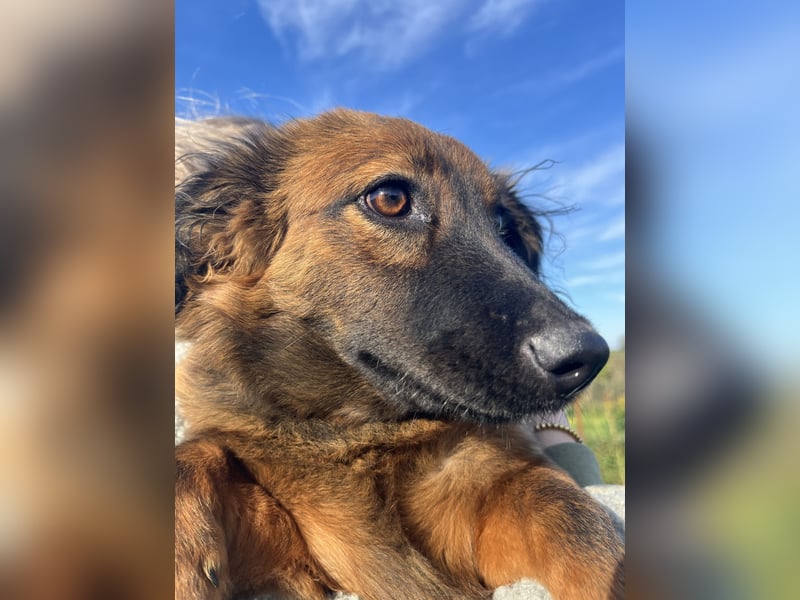 Luca - will nicht länger im kalten warten!