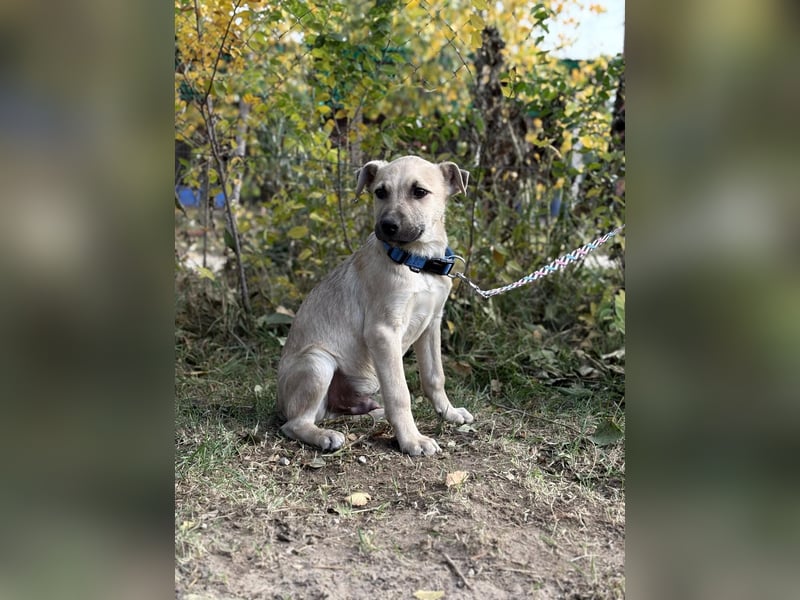 Ozan - wartet auf ein besseres Leben!