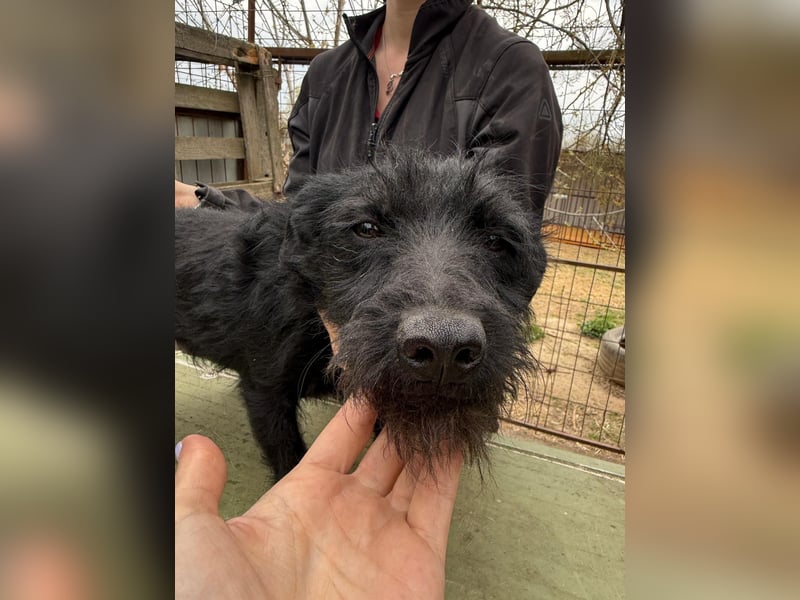 Jenga möchte die Welt mit dir entdecken