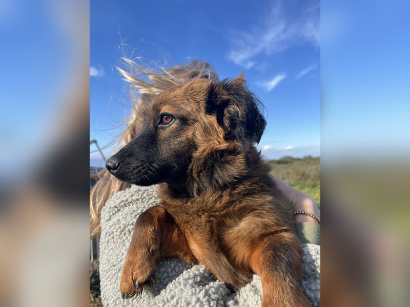 Luca - will nicht länger im kalten warten!