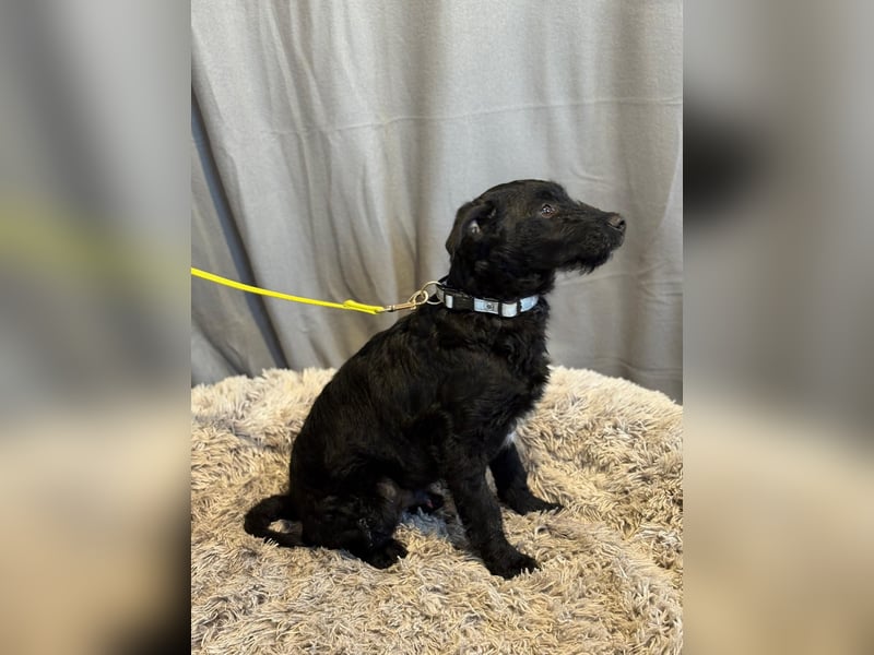 Kende wartet auf einen Neuanfang