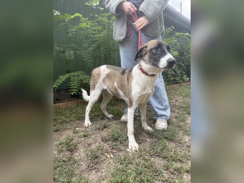 Hezöl sucht ihre Menschen