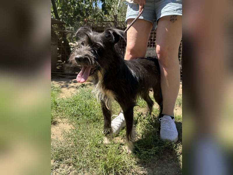 Lidi möchte endlich nicht mehr übersehen werden