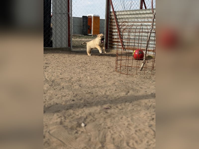 Nash hofft auf sein Glück