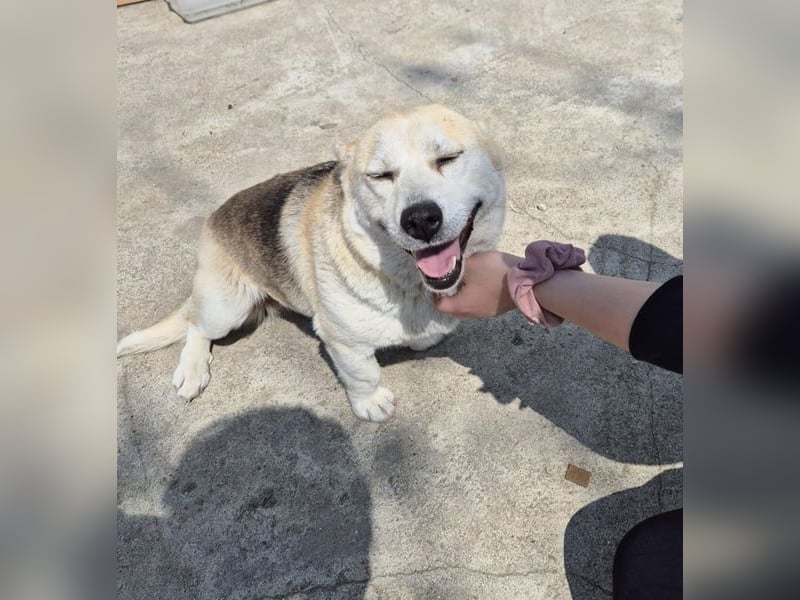 Mädel Aluna 35 cm, möchte Rumänien schnell verlassen