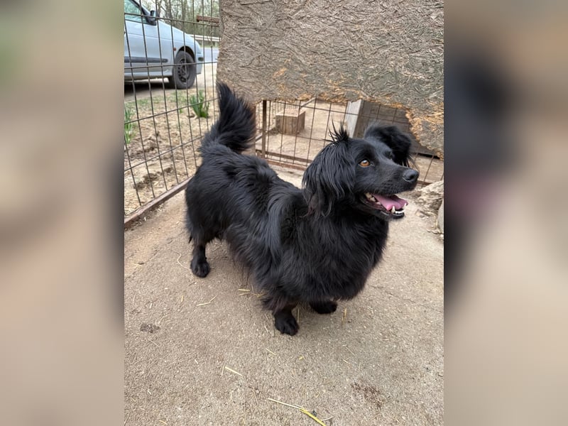 Pamacs packt ihren Koffer