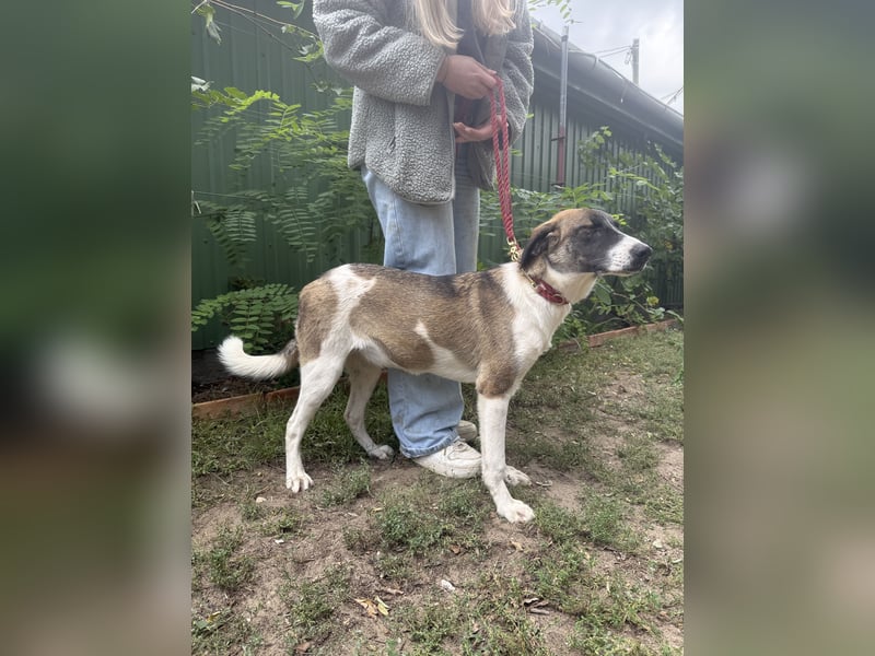 Hezöl sucht ihre Menschen