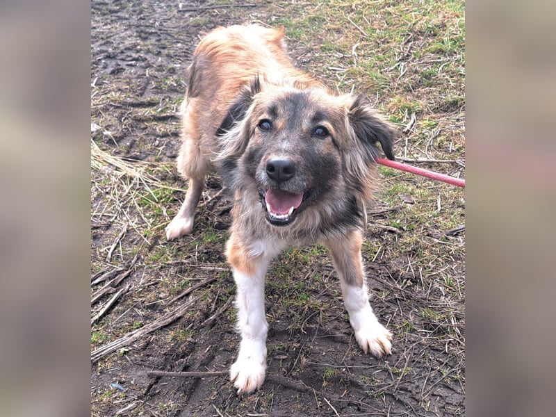 Die hübsche Roxi würde Rumänien so gerne verlassen