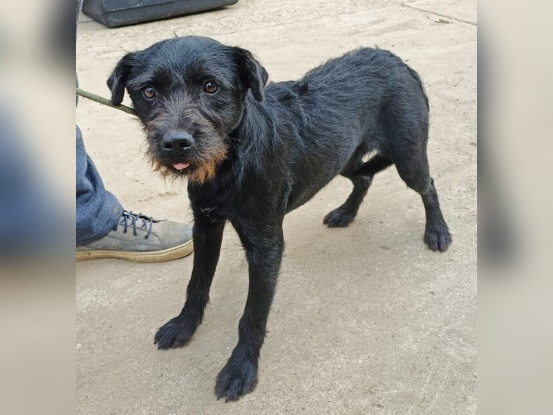 Leandra - Süße Maus will endlich ankommen!