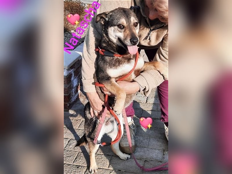 Super anhängliche Natascha möchte Rumänien ganz schnell verlassen