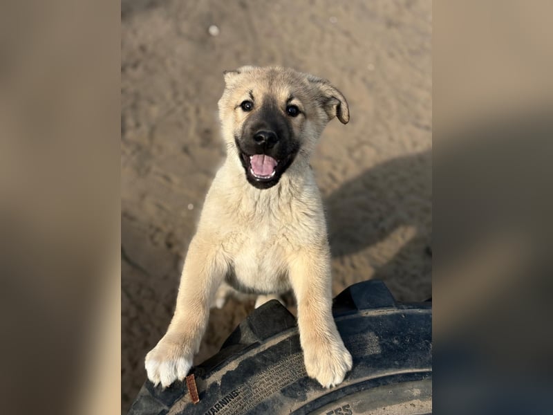 Nash hofft auf sein Glück