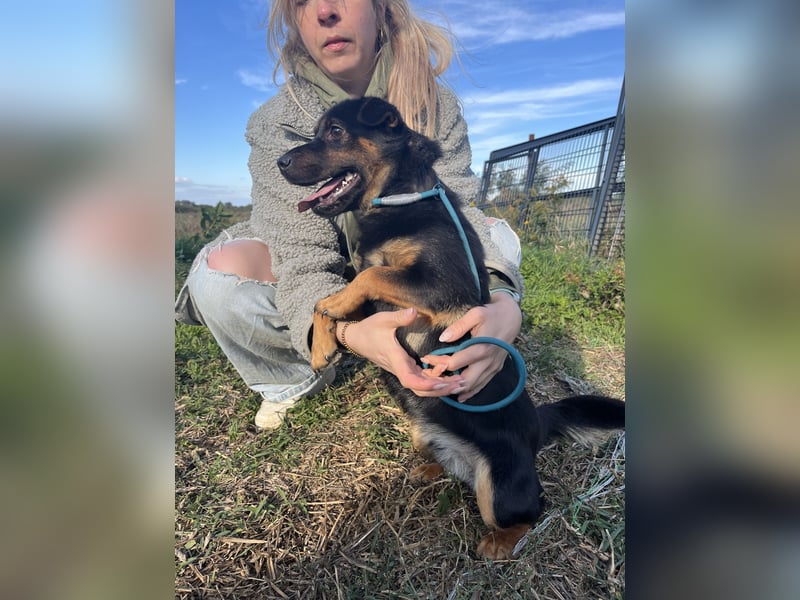 Kolos wartet auf dich