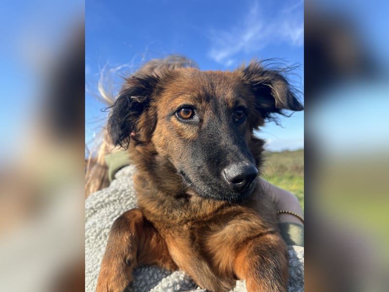 Luca - will nicht länger im kalten warten!