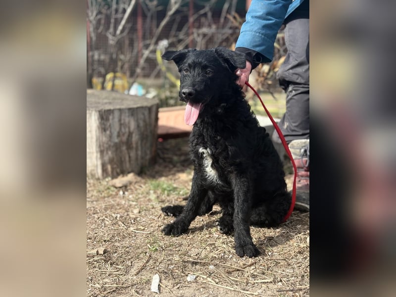 Kende wartet auf einen Neuanfang