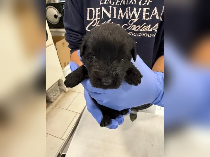 Kende wartet auf einen Neuanfang