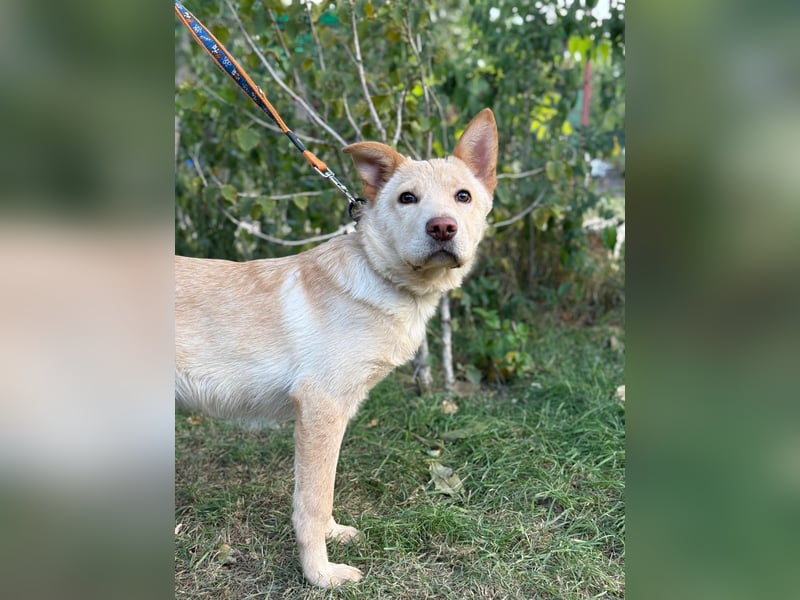 Pola möchte endlich geliebt werden