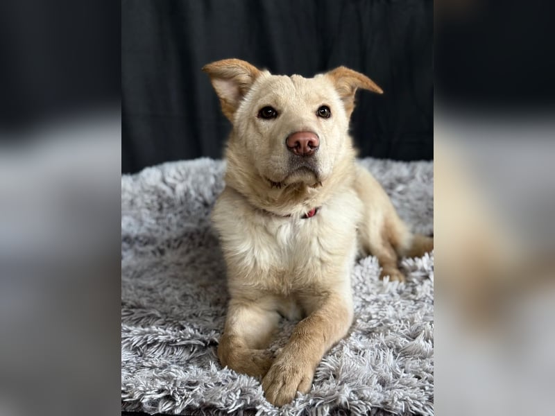 Pola möchte endlich geliebt werden