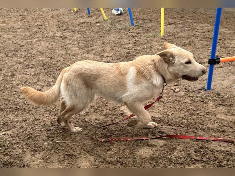 Pola möchte endlich geliebt werden